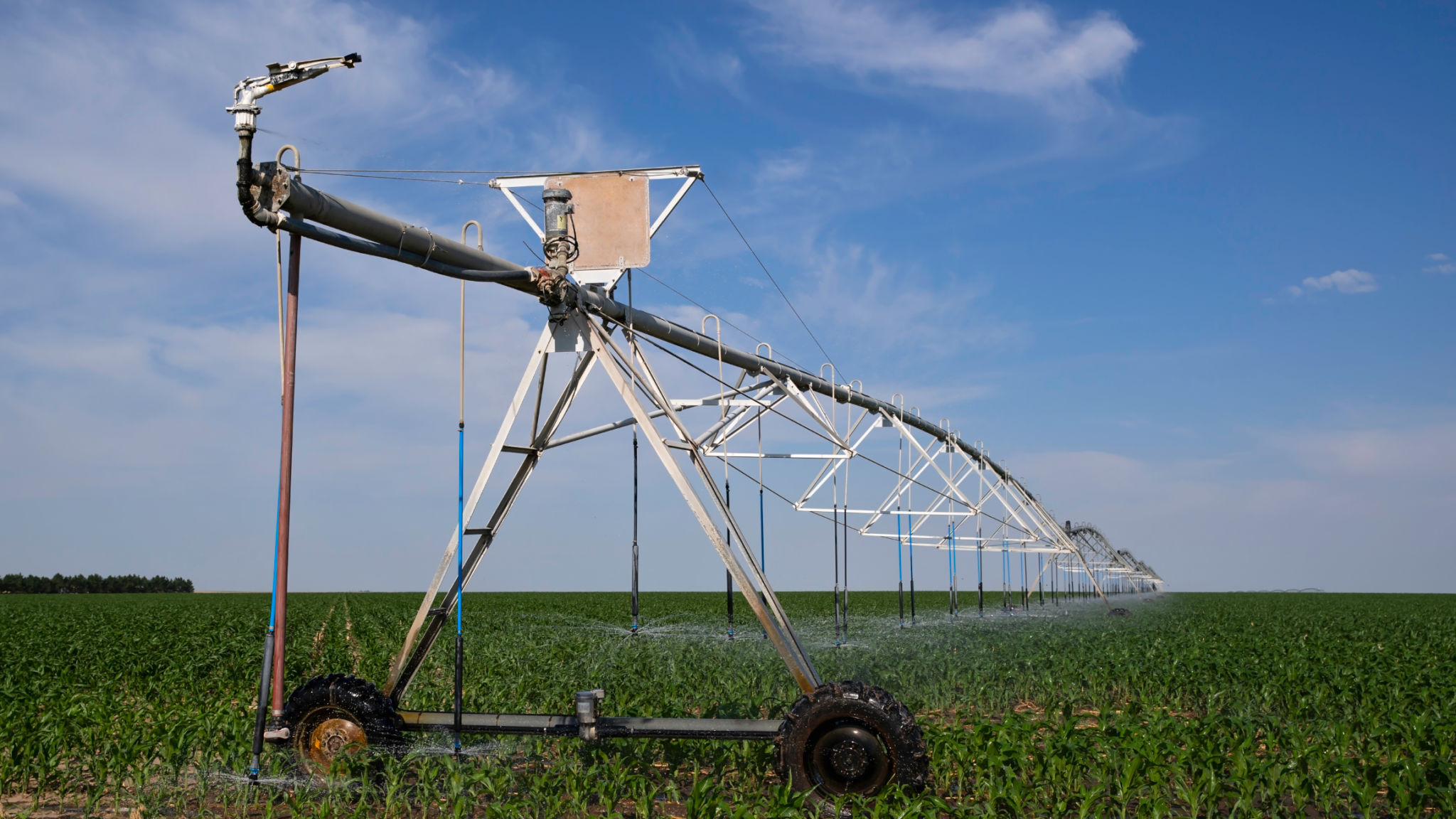 Center pivot fertigation system used for corn and potato crops